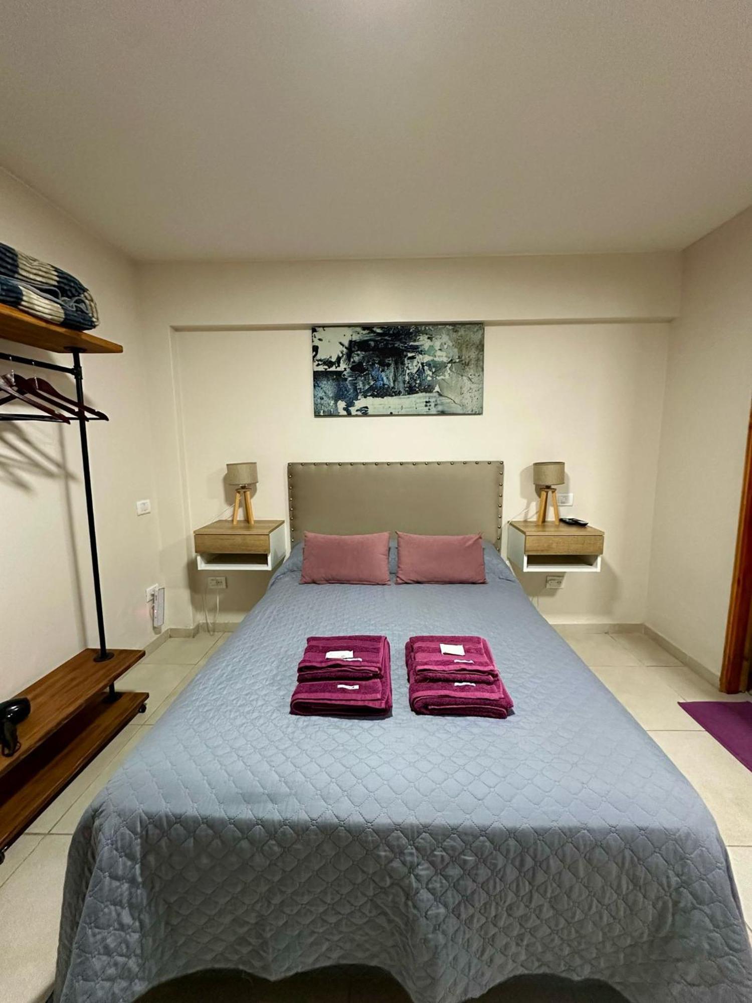 Loft Centrico. Lägenhet Mendoza Exteriör bild
